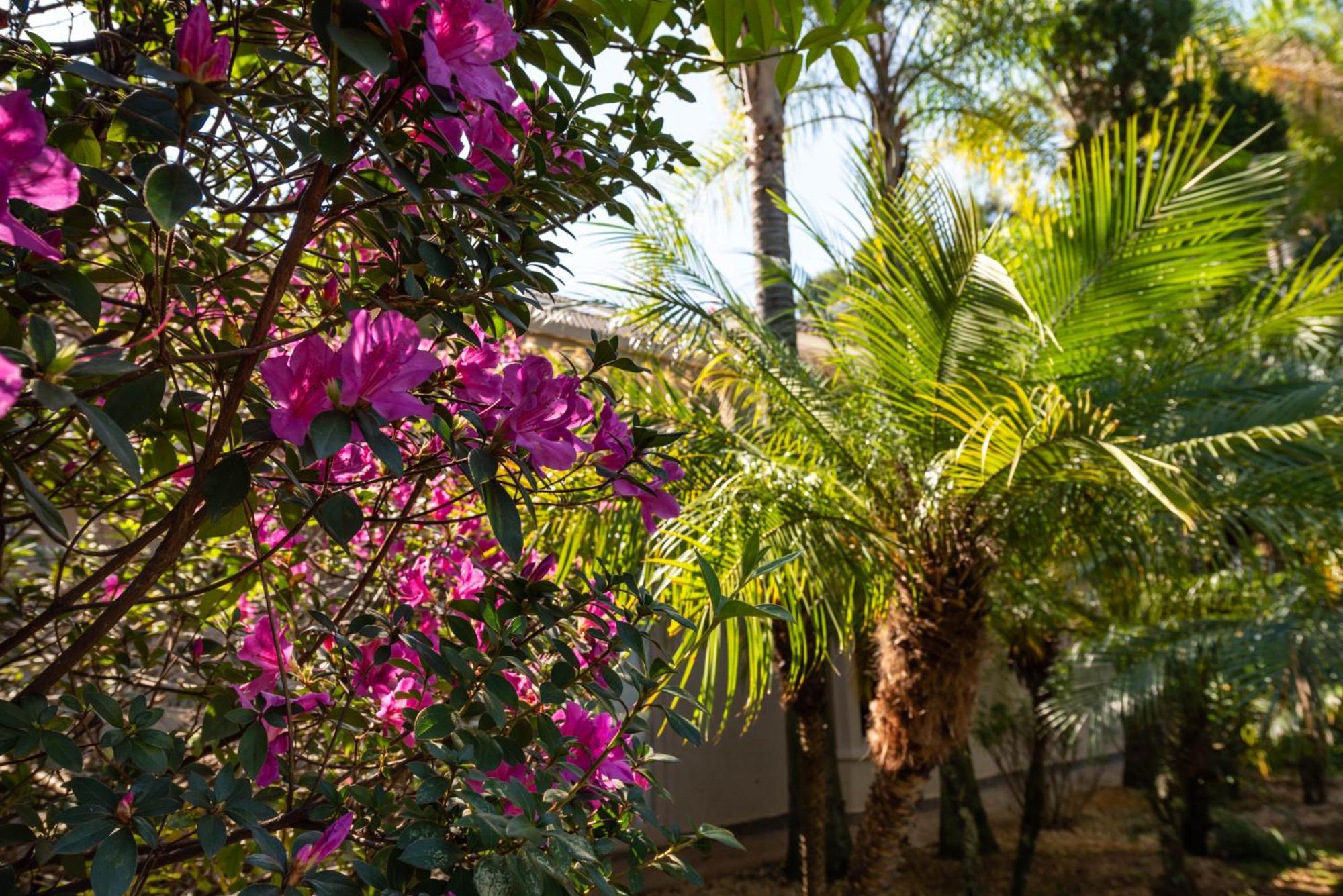 Fazenda Vila Real - Grande E Charmosa Casa De Campo Itu Exterior foto